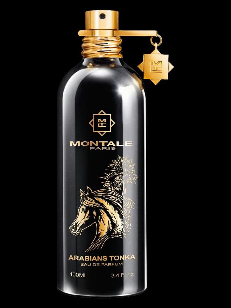 Arabians Tonka Montale