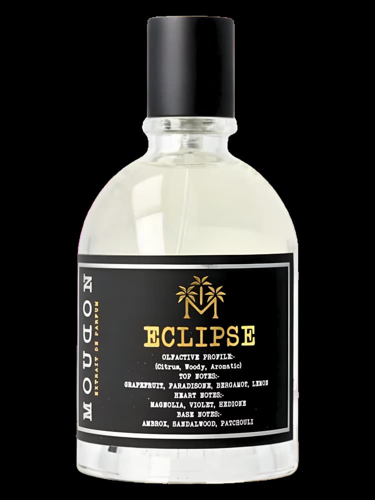 Eclipse Moudon