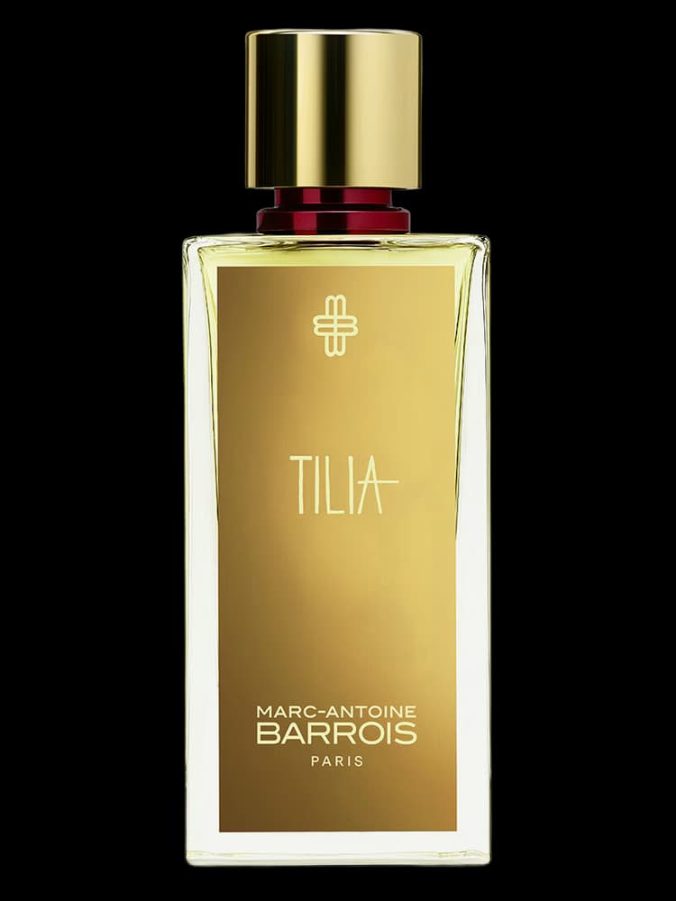 Tilia Marc-Antoine Barrois
