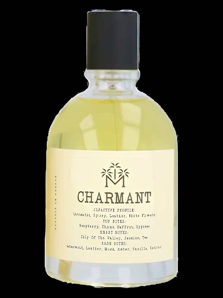 Charmant Moudon