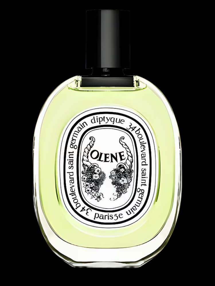 Olene Diptyque