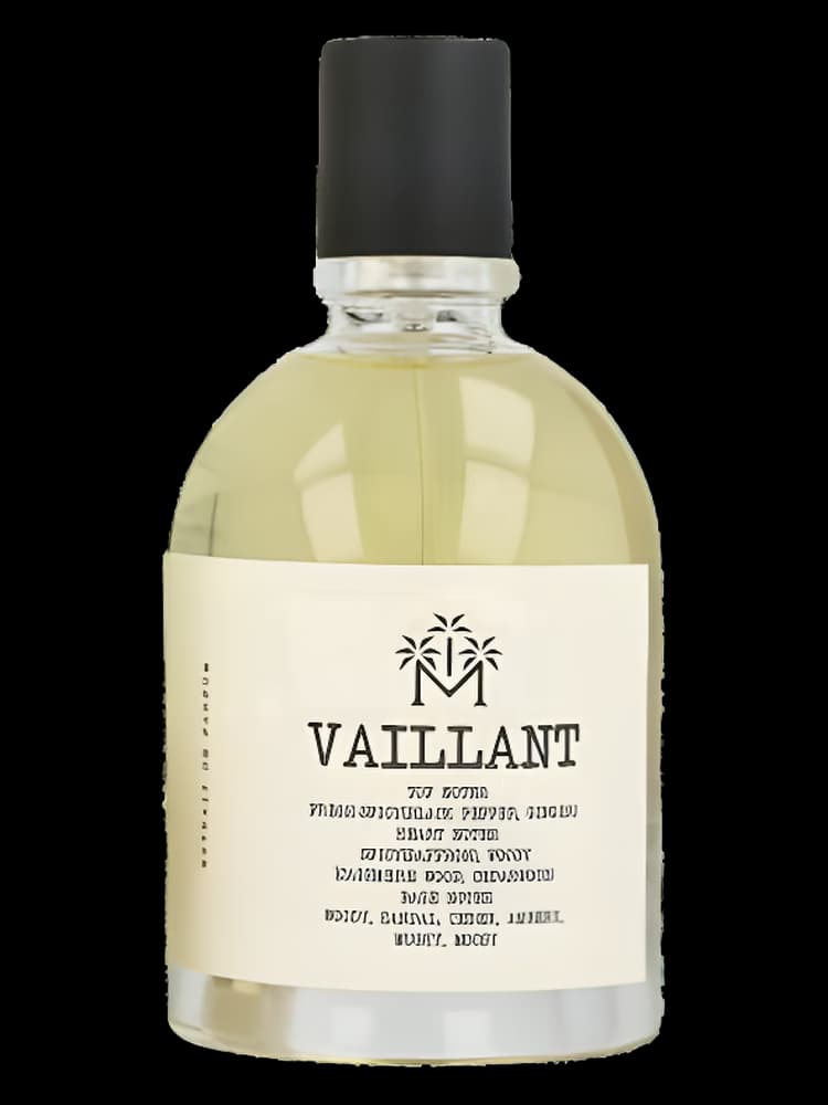 Vaillant Moudon